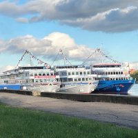 ***сезон открыт*** :: Olga Oskolkova