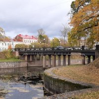 Осень 2025. Октябрь :: Наталья Герасимова