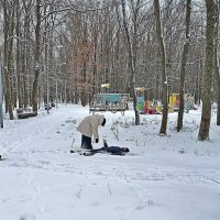 Рады снегу... :: Валентина  Нефёдова 