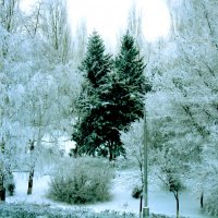 *** :: Андрей Л. В.