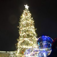 Ёлка на Дворцовой. :: Игорь Корф