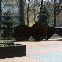 Шишки. :: Василий Палий