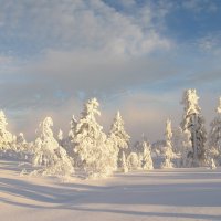 Природа Шерегеша :: Галина Нестратова