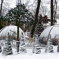 Предновогодний город. :: Милешкин Владимир Алексеевич 