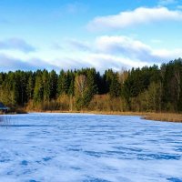Картинка зимы (репортаж из поездок по области). :: Милешкин Владимир Алексеевич 