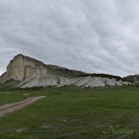 Природа Крыма :: Amazing Cosmea