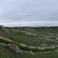 Природа Крыма :: Amazing Cosmea