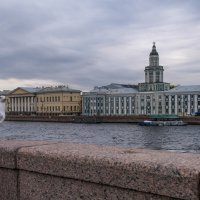 Кунсткамере через реку Б. Невы :: Георгий А
