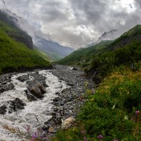 Обход :: Алексей 