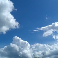 погоня за зайцем :: Владимир 