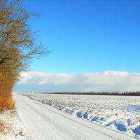 Зима.2024 года. :: Владимир 