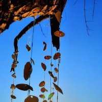 Лето :: Марина 