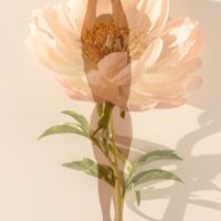 Когда сердце цветёт :: liudmila drake