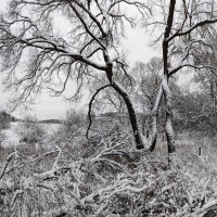 *** :: Денис Бочкарёв