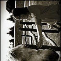 Horse 3 :: Denis Lipatov