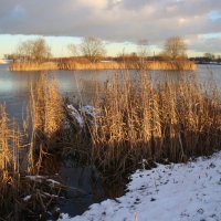 Осень 2025. Ноябрь :: Наталья Герасимова