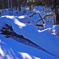 Февраль...Снежный полоз! :: Владимир 