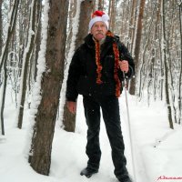 По дороге в Новый год.... :: Андрей Заломленков