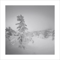 * :: Александр Иванов