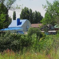 июнь :: Елена Шаламова