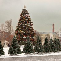 Ёлка в Кронштадте :: skijumper Иванов Ёлка в Кронштадте :: skijumper Иванов