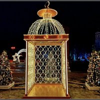 Не желаете сфотографироваться ? :: Лия ☼