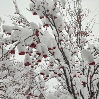 Из окна :: Валентина Богатко 