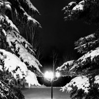 «И чаще хочется гулять не за столом, а в старом, тихом парке…» :: Арина Невская