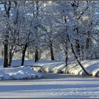 Мороз и солнце :: Aleksandr Gal Мороз и солнце :: Aleksandr Gal