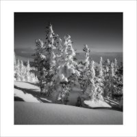 * :: Александр Иванов