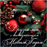 "До Нового года осталось всего 3 дня )"© :: Владимир Макаров