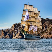 Парусник. :: Сергей Воротников