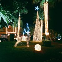 Вечер новогоднего, настроения :: Игорь Солдаткин