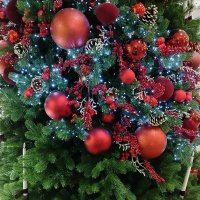 Красавица :: Надежда 