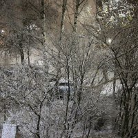 Осень 2025. Ноябрь :: Наталья Герасимова