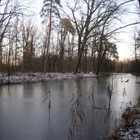 Зима 2025. Декабрь :: Наталья Герасимова Зима 2025. Декабрь :: Наталья Герасимова