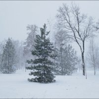 А снег идет...! :: Надежда А снег идет...! :: Надежда
