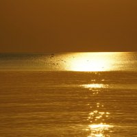 Золотой рассвет :: Иван Литвинов