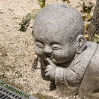 PF 2026_4 :: Yury Mironov