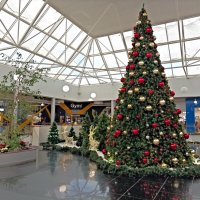 В торговом центре Астри :: Veera V