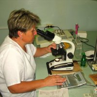 SvS :: Андрей Л. В.