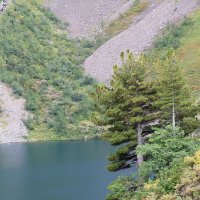 Жемчужина сибирских лесов на крутом берегу Нижнего Ивановского озера :: Владимир Кириченко