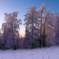 Краски зимнего вечера :: Галина Ильясова