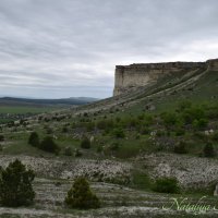 Природа Крыма :: Amazing Cosmea