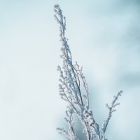 *** :: Виктор Иванович Чернюк