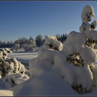 Ностальгия :: Aleksandr Gal