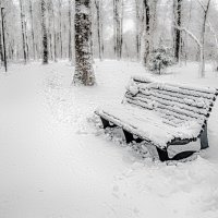 После снегопада.. :: Юрий Яньков