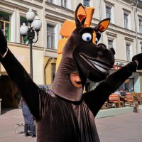 С Конским приветом , друзья ! Мы те же лошади,,,) :: Анатолий Колосов