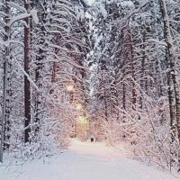 Вечерняя прогулка :: Галина Нестратова