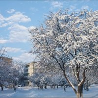 Зимние зарисовки ... :: Валентина Надсон